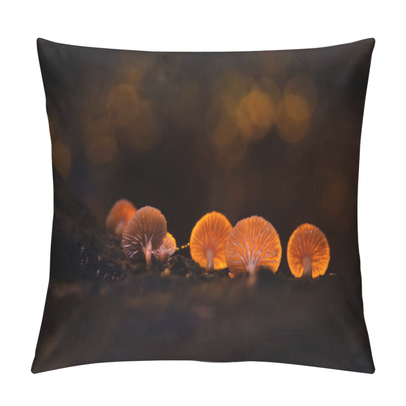 Personality  Glowing Mushrooms With Backlight. Dark Nature Background. Pillow Covers