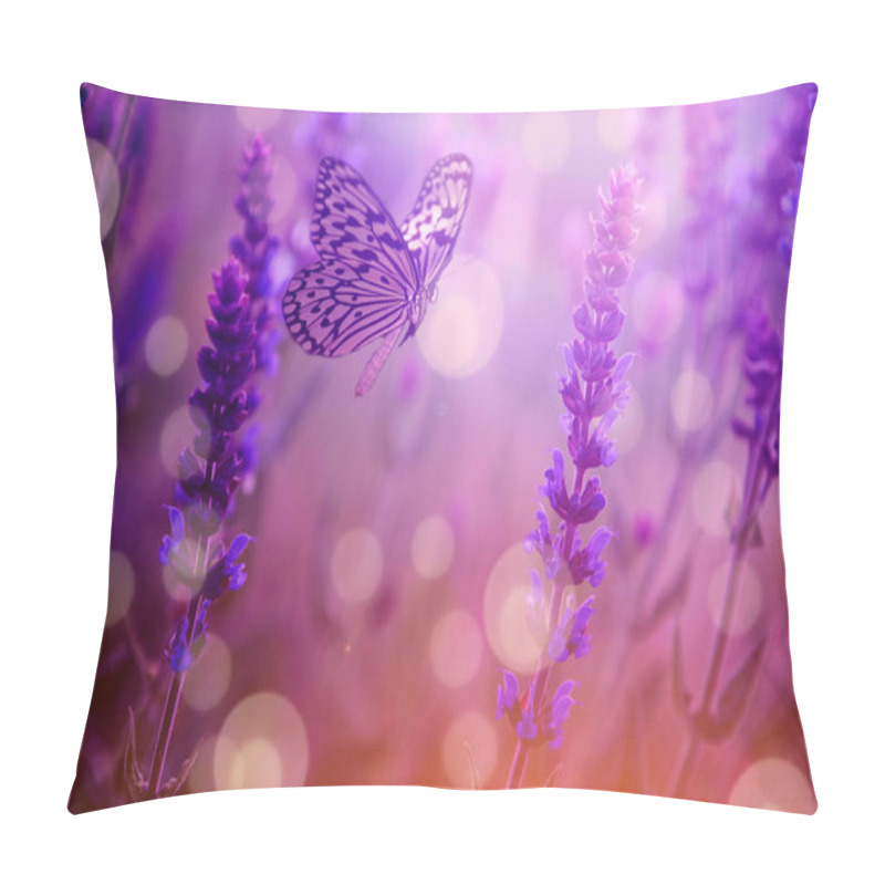 Personality  Butterfly And Lavender Wild Flower In Spring / Summer Sunset At The Nature Pillow Covers