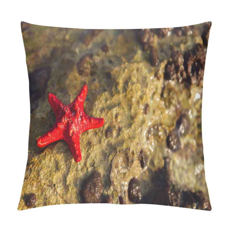 Personality  Close Up View Of Red Starfish On Wet Textured Stone  Pillow Covers