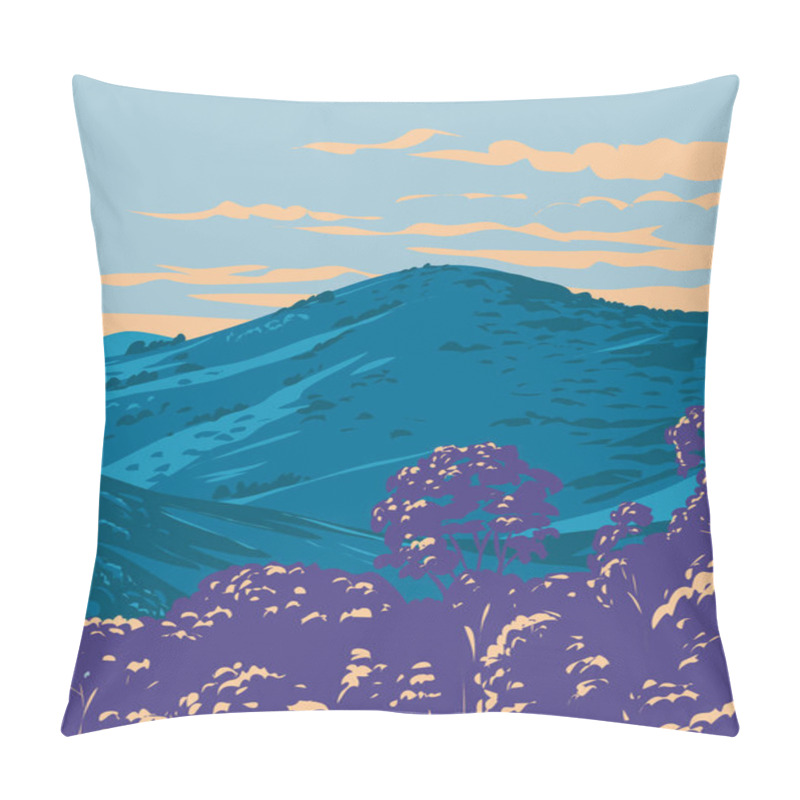 Personality  WPA Poster Art Of Barrington Tops National Park In Hunter Valley Part Of Mount Royal Range North Of Sydney New South Wales, Australia Done In Works Project Administration Or Federal Art Project Style Pillow Covers