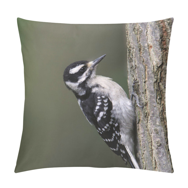 Personality  Hairy Woodpecker (female) (picoides Villosus) Pillow Covers