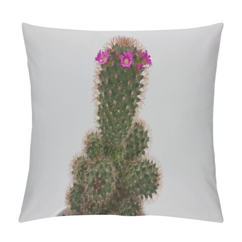 Personality  A Cactus With Vibrant Pink Flowers Blooming On Top, Set Against A Simple, Plain Background. The Spiky Green Cactus And Colorful Blossoms Create A Striking Natural Contrast. Pillow Covers