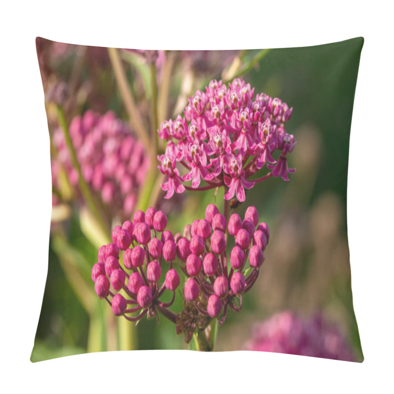 Personality  Macro Texture View Of Beautiful Pink Swamp Milkweed (asclepias Incarnata) Flower Blossoms With Defocused Background Pillow Covers