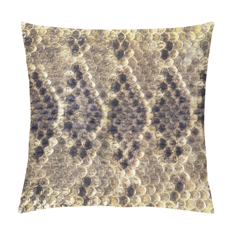 Personality  Texas Diamondback Rattle Snake Skin. Pillow Covers