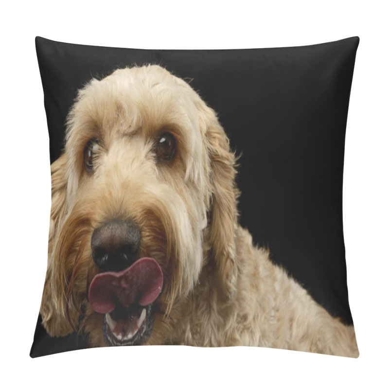 Personality  An Adorable Bolognese Dog Licking His Lips, Studio Shot, Isolated On Black. Pillow Covers