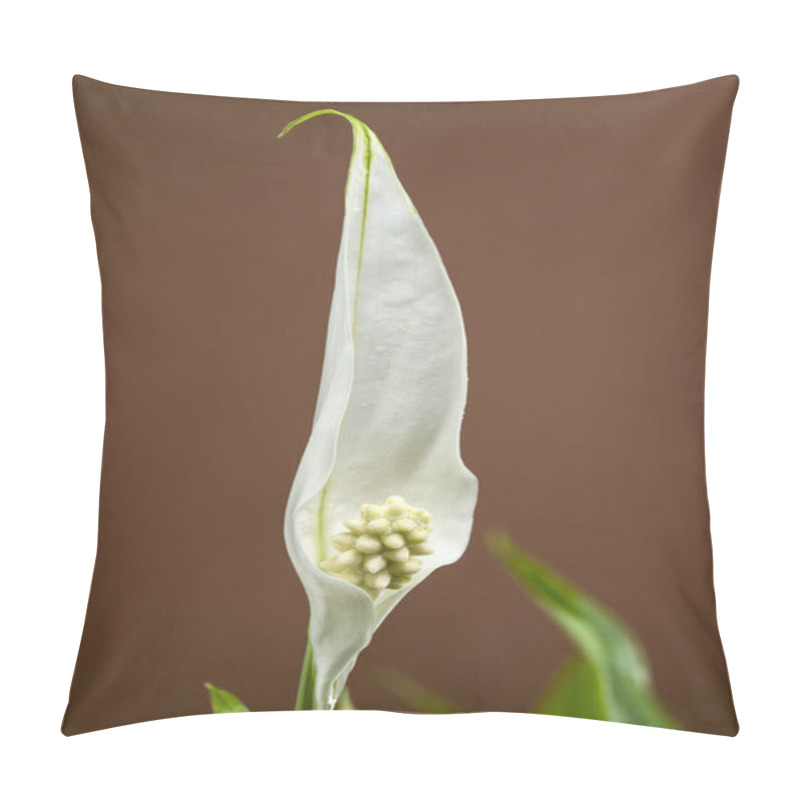 Personality  Close-up Of A Peace Lily Plant With Lush Green Leaves And Emerging White Spathes, Set Against A Rich Brown Background. Pillow Covers