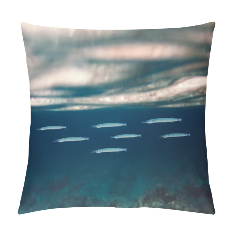 Personality  Fish Shoal In The Ocean Pillow Covers