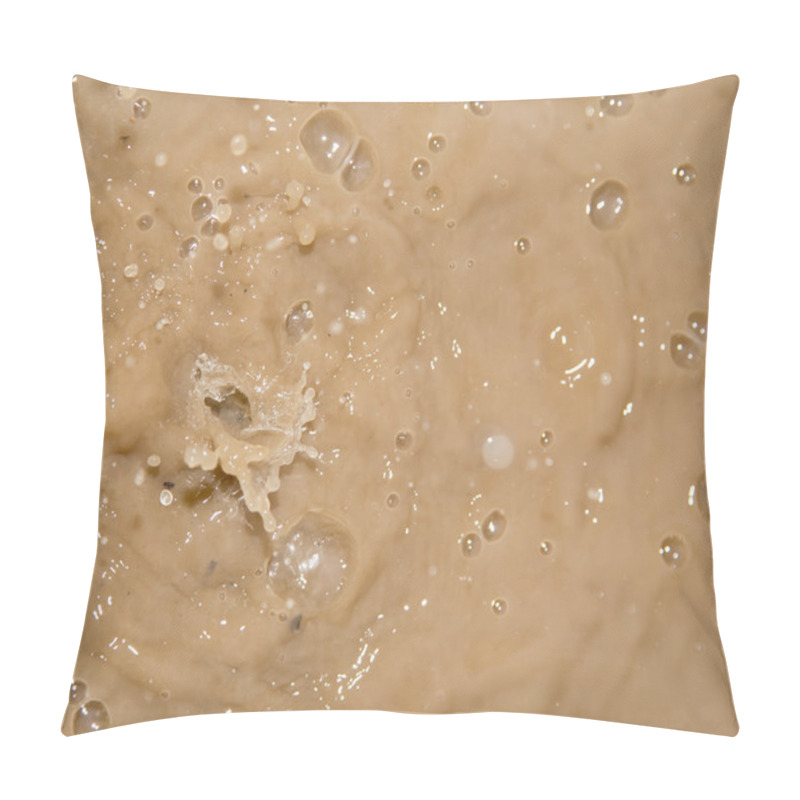 Personality  Splashing In The Muddy Water. Macro Pillow Covers