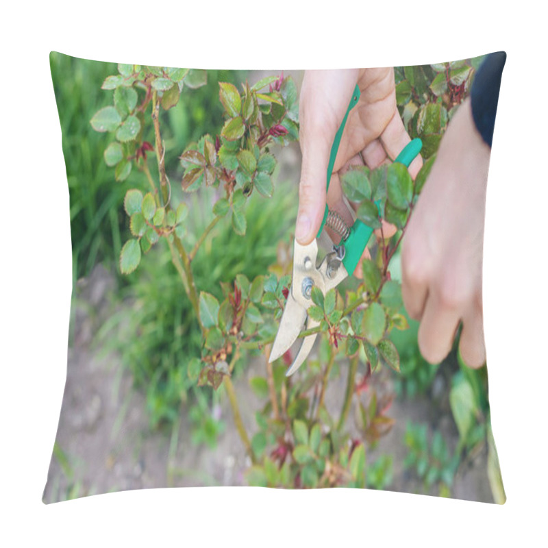 Personality  Gardener Pruning Roses In The Garden. Selective Focus. Nature. Pillow Covers