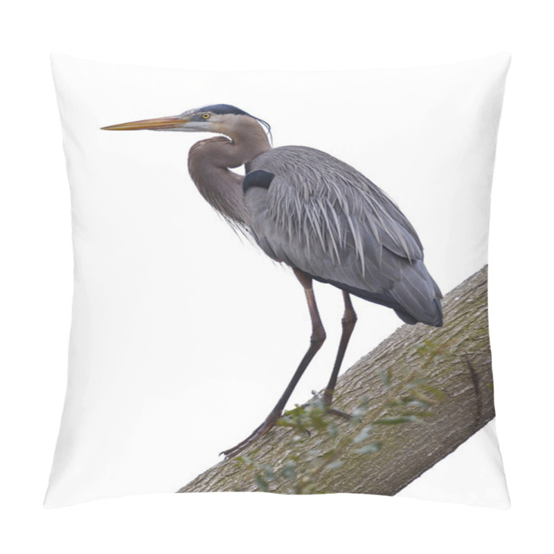 Personality  Great Blue Heron On White Pillow Covers