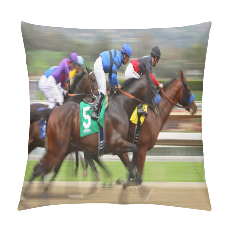 Personality  Tiz The Truth Wins His First Race Pillow Covers