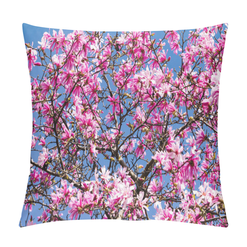 Personality  Pink Blossom Magnolia Tree Pillow Covers