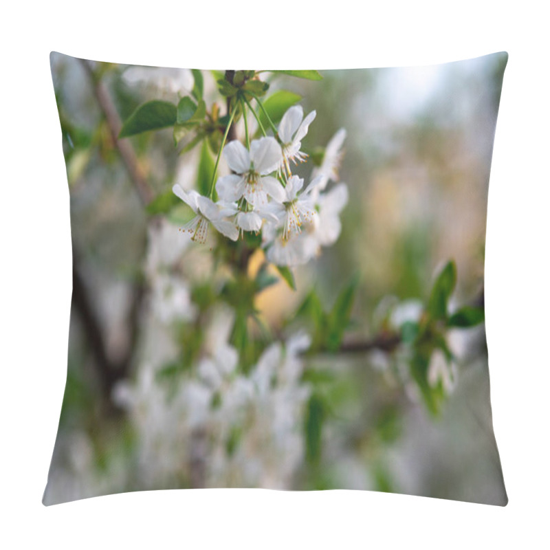 Personality  White Cherry Flowers On A Branch Close Up Pillow Covers