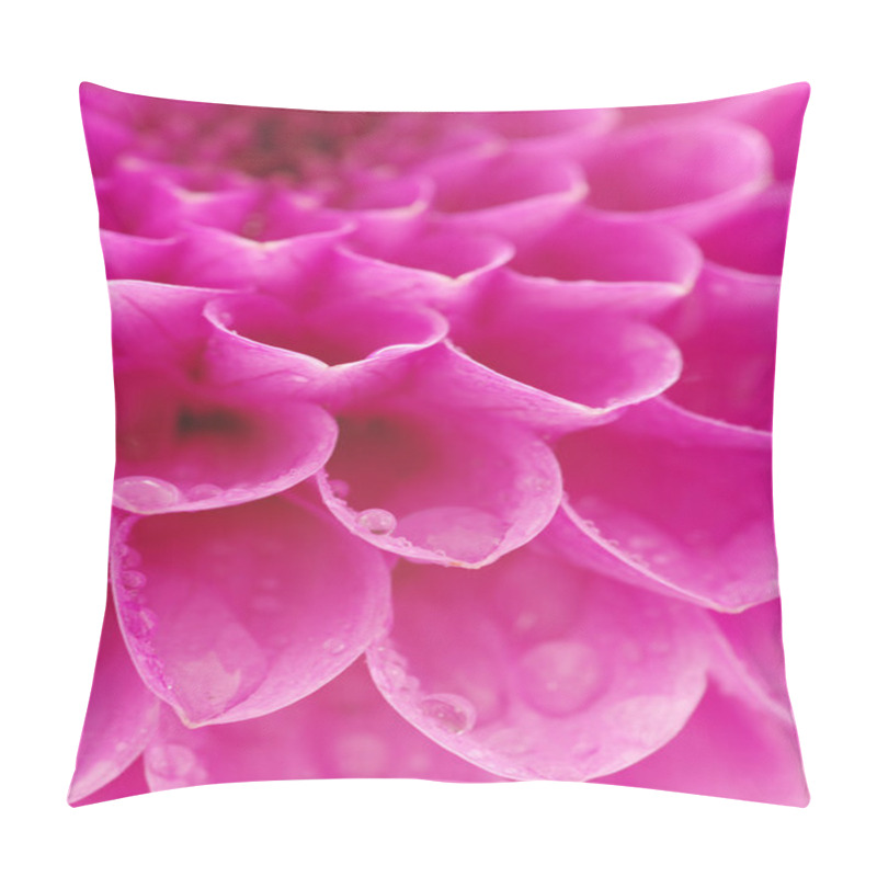 Personality  Abstract Petals Pillow Covers