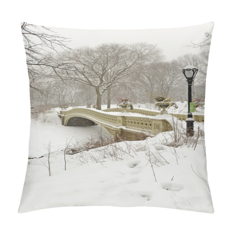 Personality  Central Park In The Snow, Manhattan, New York City Pillow Covers