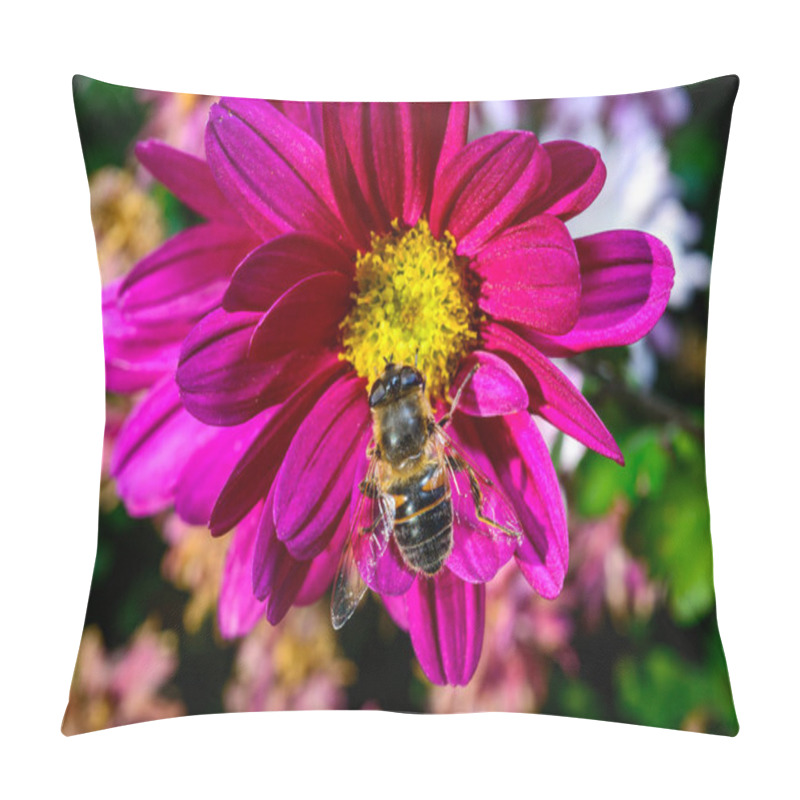 Personality  Batman Hoverfly - Myathropa Florea,  Flower Fly Hoverfly Collects Nectar On Autumn Flowers Chrysanthemum In The Garden Pillow Covers