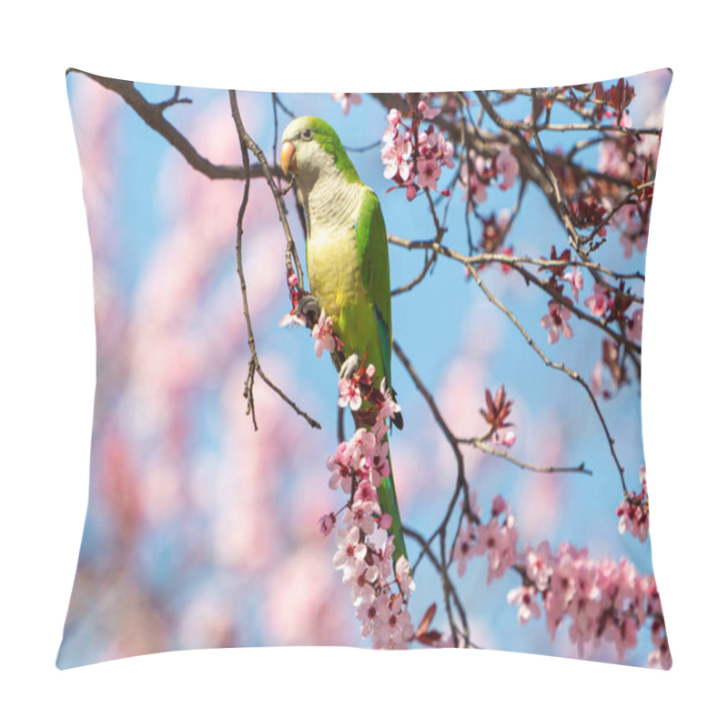 Personality  Green-winged Parakeet Perched On A Blossoming Almond Tree. Spring Flowers. Invasive Birds. Small Birds. Pillow Covers