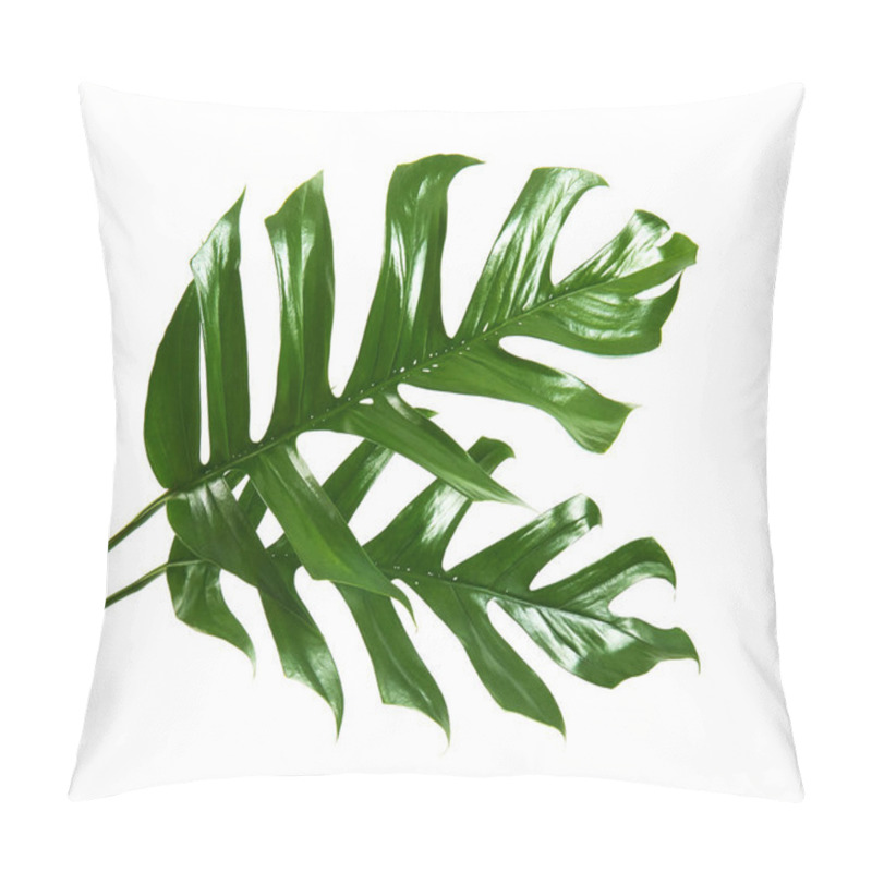 Personality  Monstera Deliciosa Leaf Or Swiss Cheese Plant, Tropical Foliage Isolated On White Background, With Clipping Path                                Pillow Covers