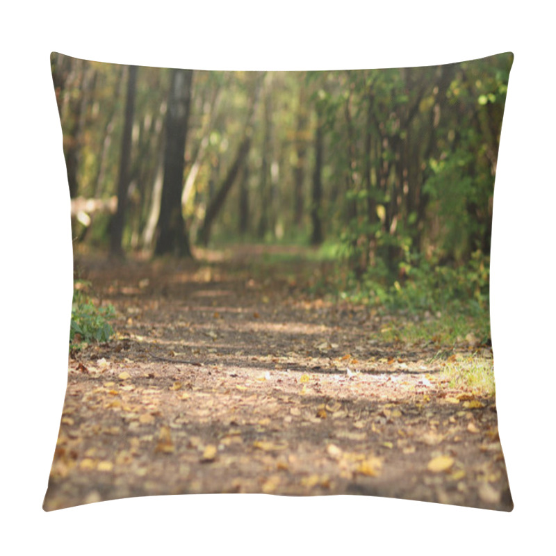 Personality  Path In The Forest In Summer With The Morning Sun Pillow Covers