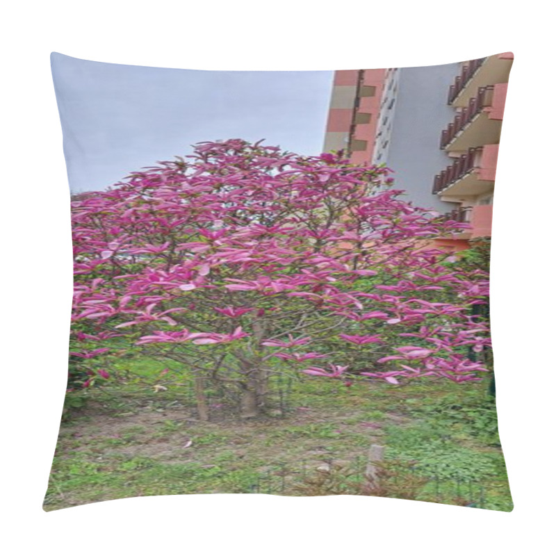 Personality  Magnolia In Flower Bed With Spring Blooms Pillow Covers