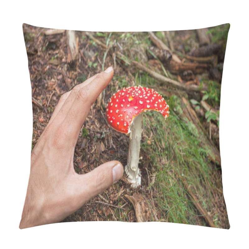 Personality  Young Amanita Muscaria Grown Up Inside A Forest In Dolomites (Italy) Pillow Covers