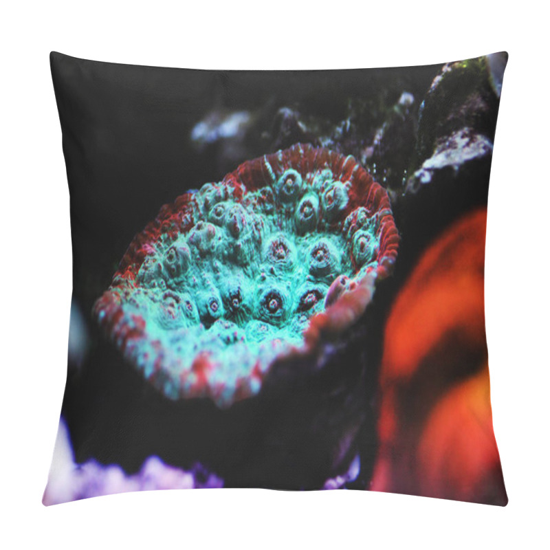 Personality  Living Lava Chalice LPS Coral - Pectiniidae Sp. Pillow Covers