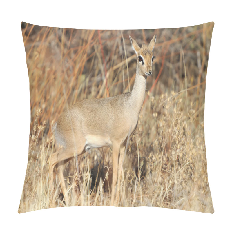 Personality  Dik-dik Pillow Covers