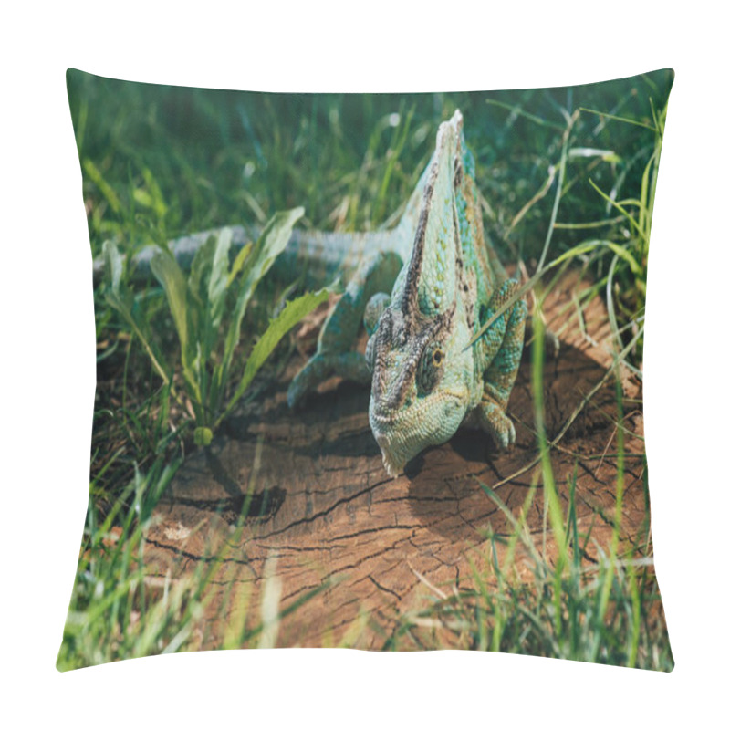 Personality  Beautiful Bright Green Chameleon Sitting On Stump Pillow Covers