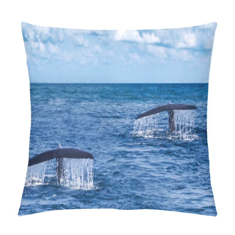 Personality  Tail Humpback Whales Pillow Covers