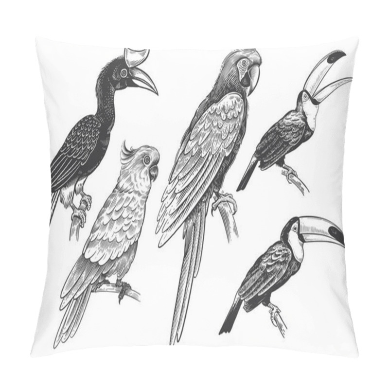 Personality  Set Of Tropical Birds. Toucans, Parrots And Cockatoos. The Image Is Isolated On A White Background. Vector Illustration. Vintage Engraving. Wild Life. Exotic Nature. Black And White Sketch. Pillow Covers