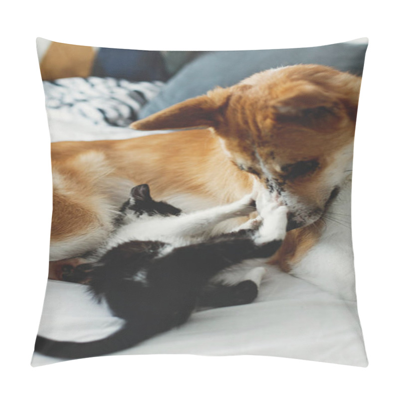 Personality  Golden Dog Playing With Cute Kitty On Bed With Pillows. Cozy Home, Adoption Concept Pillow Covers