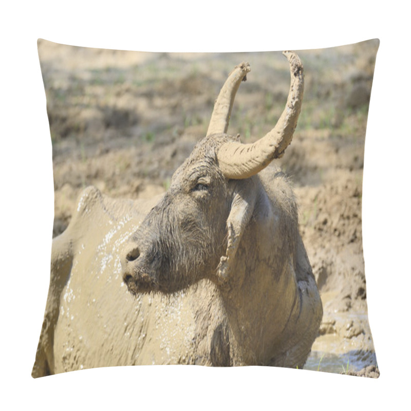 Personality  Water Buffalo Are Bathing In A Lake Pillow Covers