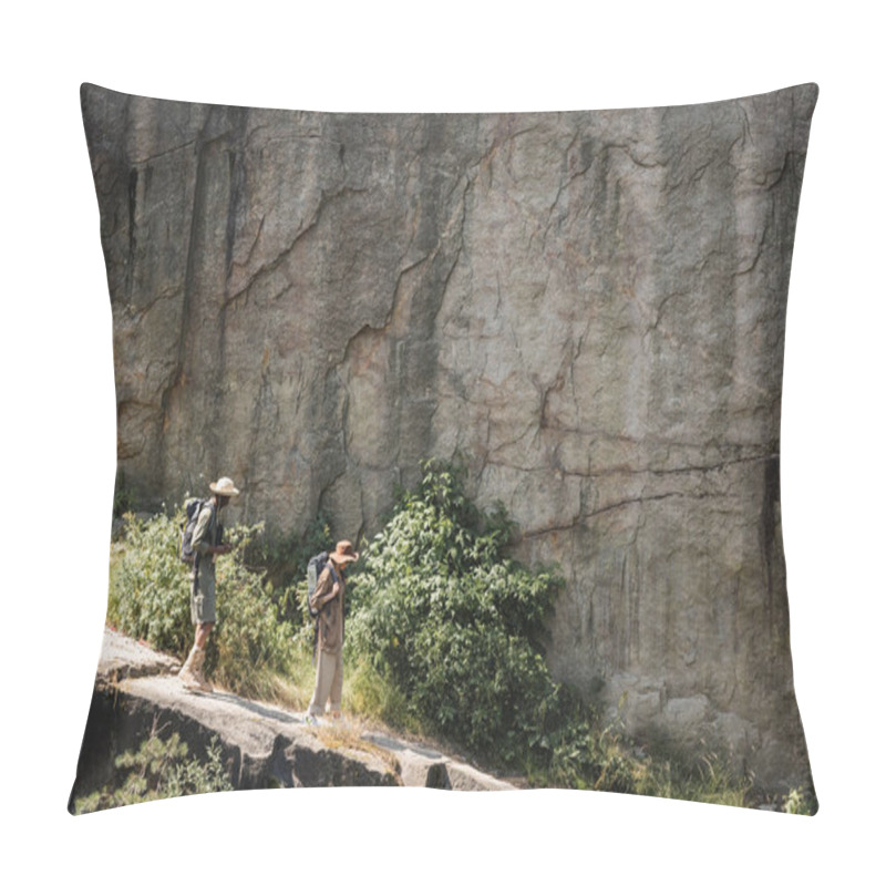 Personality  Side View Of Senior Multiethnic Couple With Backpacks Walking On Path Near Cliff  Pillow Covers