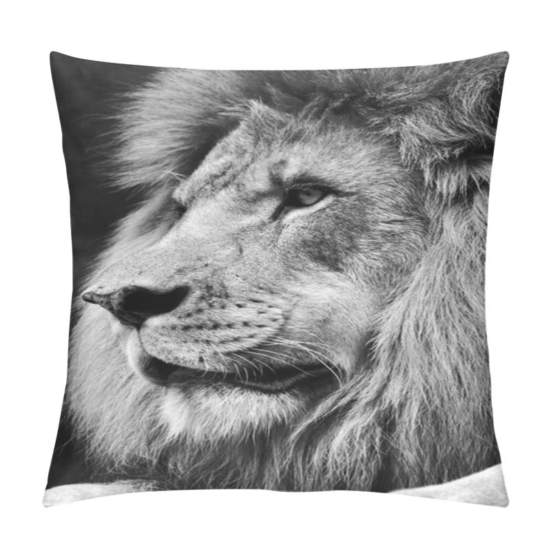 Personality  High Contrast Black And White Of A Powerful Male Lion Face Pillow Covers