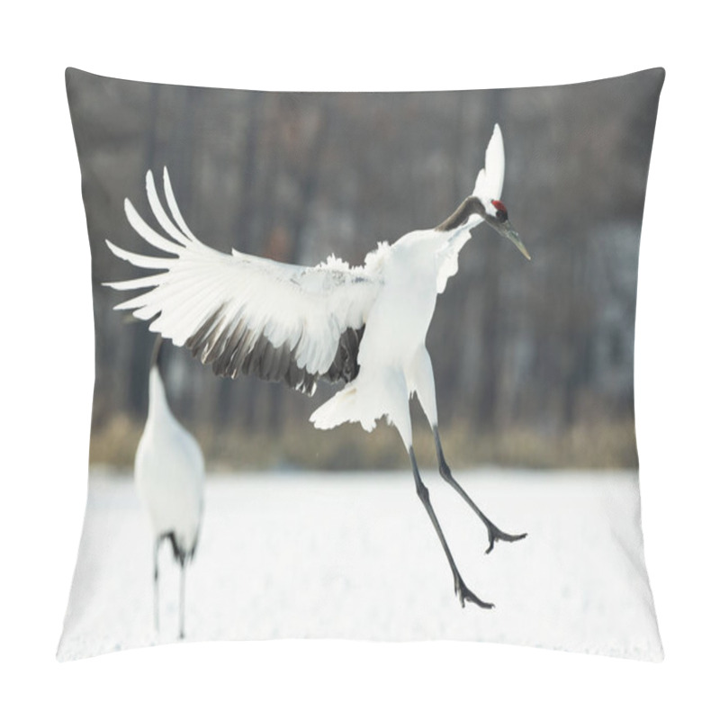 Personality  The Ritual Marriage Dance Of Cranes. The Red-crowned Cranes. Scientific Name: Grus Japonensis, Also Called The Japanese Crane Or Manchurian Crane, Is A Large East Asian Crane. Pillow Covers