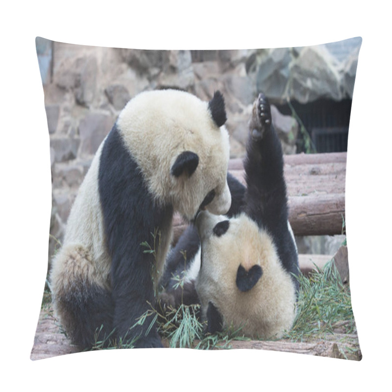 Personality  Giant Panda Twins Chengda And Chengxiao Play With Each Other At The Hangzhou Zoo In Hangzhou City, East China's Zhejiang Province, 17 January 2015. Pillow Covers