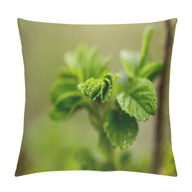 Personality  The First Spring Foliage, Bright Greenery Pillow Covers