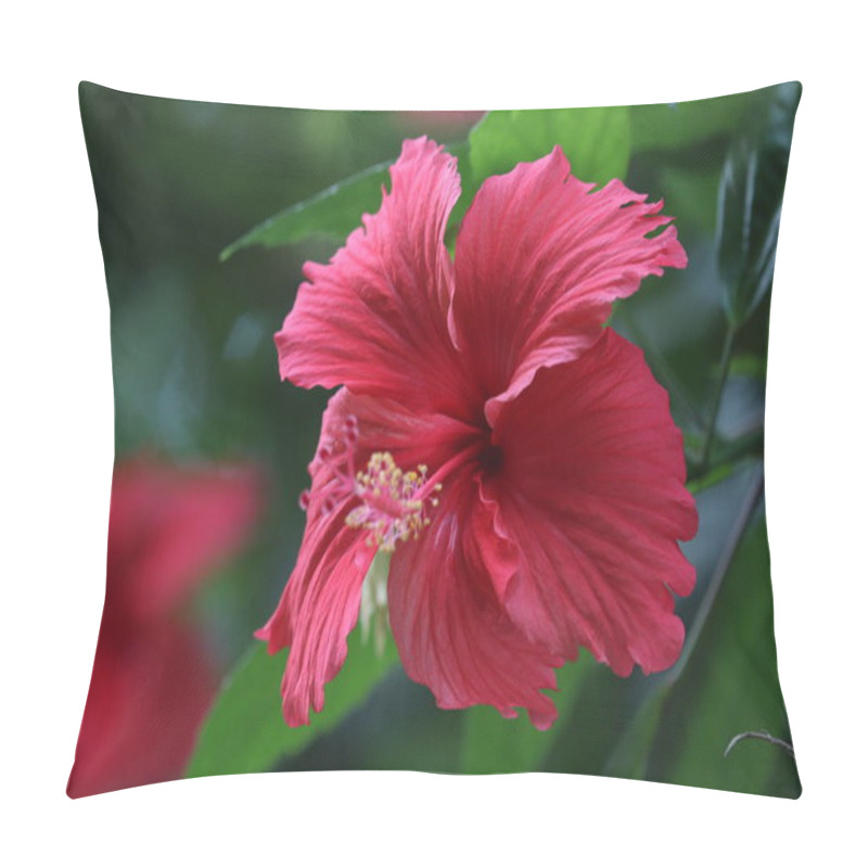 Personality  Red Hibiscus Flower With Green Leaves In The Background. Pillow Covers