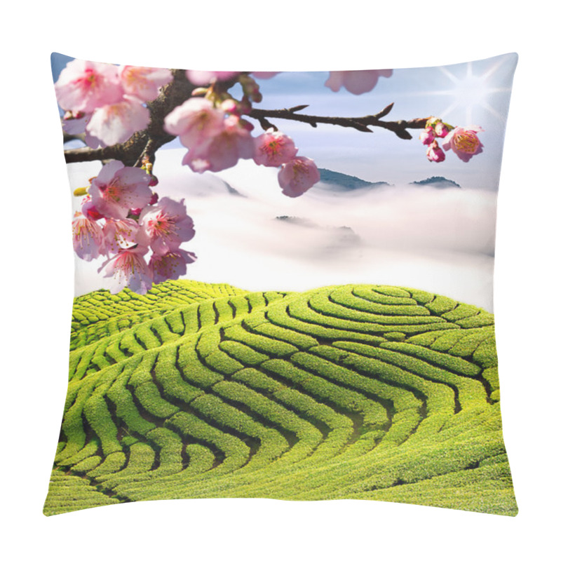 Personality  Sakura Flowers Among Tea Garden Pillow Covers