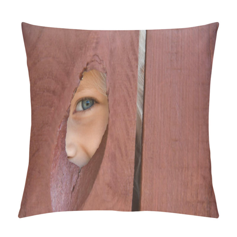 Personality  The Eye Of The Girl Looks Through A Hole In The Fence Pillow Covers