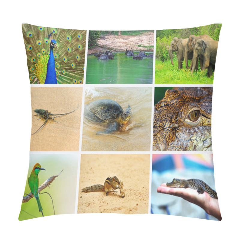 Personality  Sri Lanka Pillow Covers