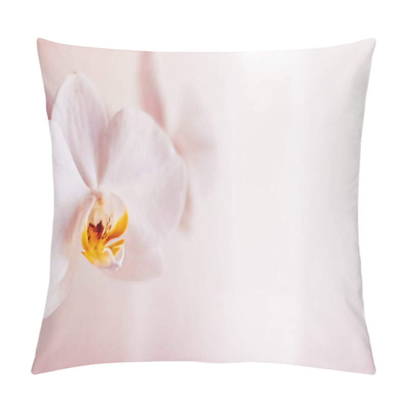 Personality  Pink Orchid Flower In Bloom, Abstract Floral Blossom Art Backgro Pillow Covers