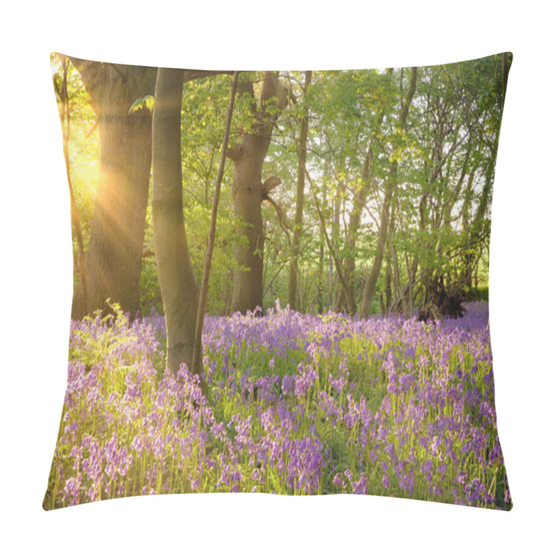 Personality  Bluebell Landscape Under The Forest Trees With Dawn Sunlight Rising. British Wild Flowers In Spring Time. Pillow Covers