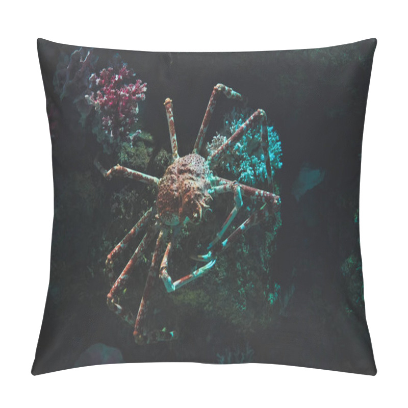 Personality  Giant Spider Crab In Their Natural Habitat In The Dark Stones Pillow Covers