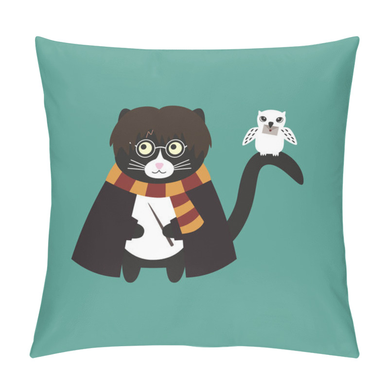 Personality  Cute Black Cat Wizard With Glasses, With A Magic Wand, In A Black Cloak, Striped Scarf. And White Owl On His Tail. Doodle Flat Illustration Vector. Pillow Covers