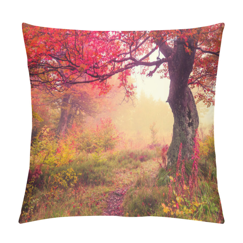 Personality  Autumn Forest Pillow Covers