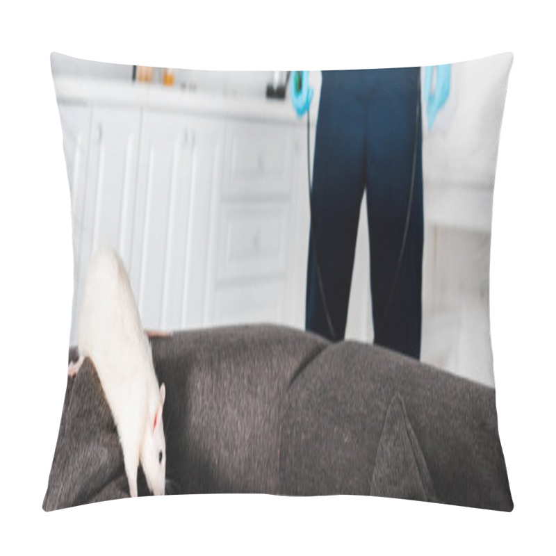 Personality  Panoramic Shot Of Rat Running On Grey Sofa Near Exterminator Standing With Equipment  Pillow Covers