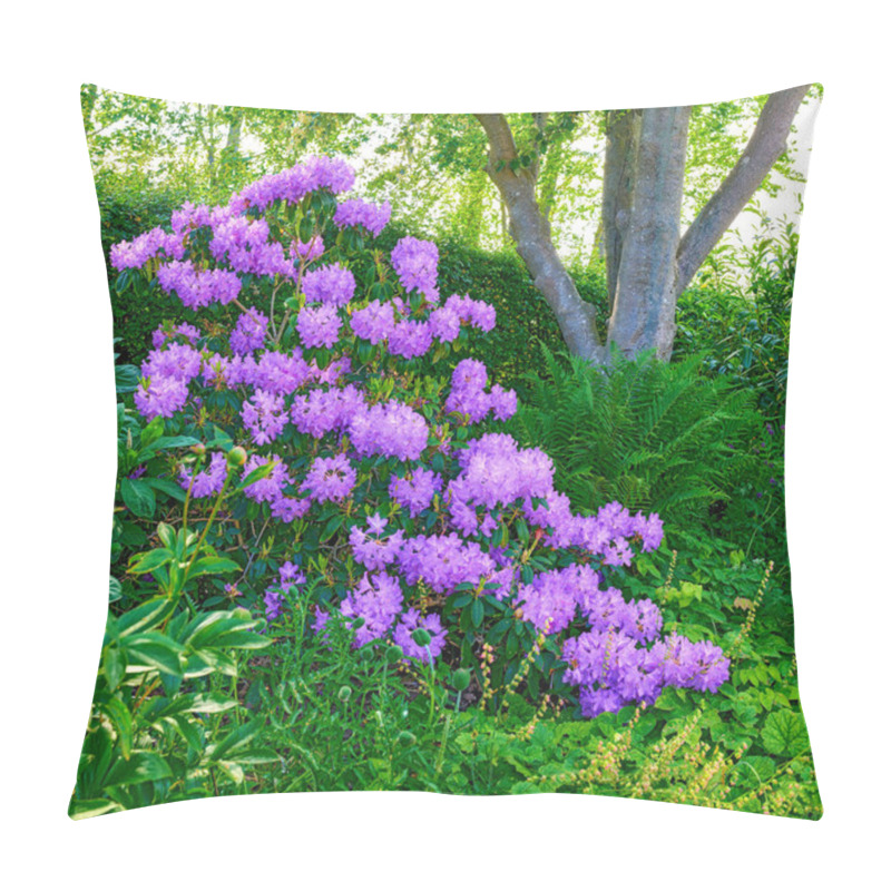 Personality  Purple Rhododendron Flowers. A Series Of Purple Rhododendron In My Garden Pillow Covers