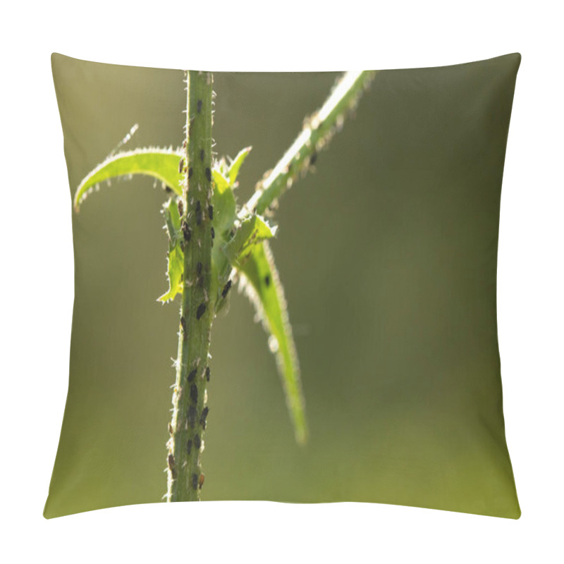 Personality  Insects In The Plants Pillow Covers