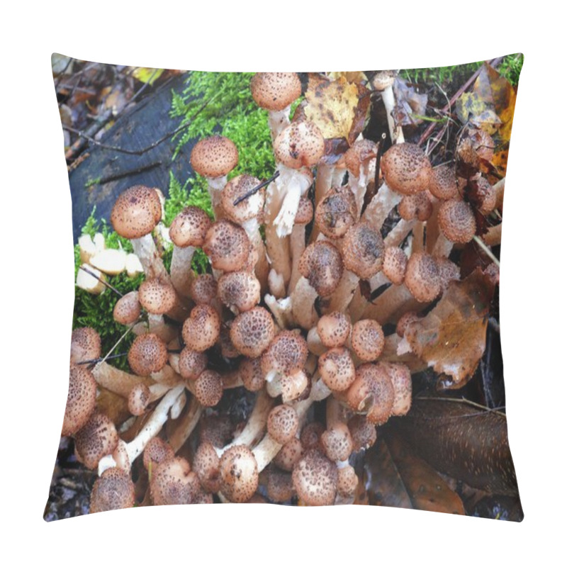 Personality  Edible Mushrooms Armillaria Ostoyae On Trunk Of Tree Pillow Covers